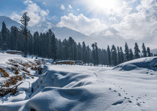 Magnificent Kashmir Tour | 4 Nights and 5 Days